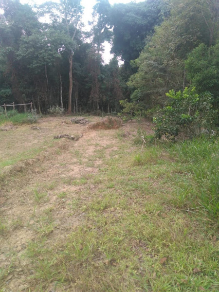 Sítio à venda Cordoeira com 15000m² e 5 quartos por R$ 650.000 - 1428548746-img-20211205-wa0147.jpg
