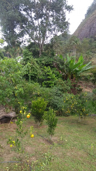 Sítio à venda Cordoeira com 15000m² e 5 quartos por R$ 650.000 - 1456741678-img-20220817-wa0047.jpg