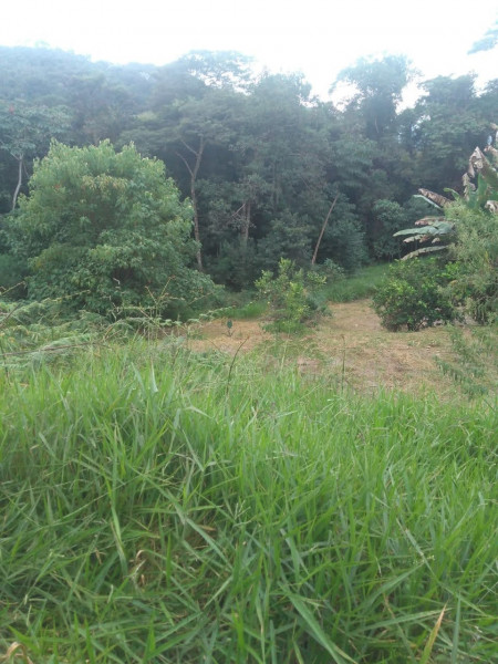Sítio à venda Cordoeira com 15000m² e 5 quartos por R$ 650.000 - 1622318630-img-20211205-wa0142.jpg