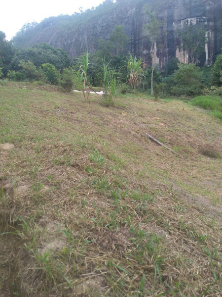 Sítio à venda Cordoeira com 15000m² e 5 quartos por R$ 650.000 - 1830531281-img-20211205-wa0138.jpg
