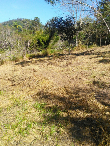 Sítio à venda Cordoeira com 15000m² e 5 quartos por R$ 650.000 - 1841478786-img-20220624-wa0044.jpg
