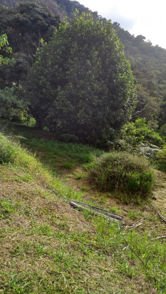 Sítio à venda Cordoeira com 15000m² e 5 quartos por R$ 650.000 - 2042782540-img-20220817-wa0054.jpg