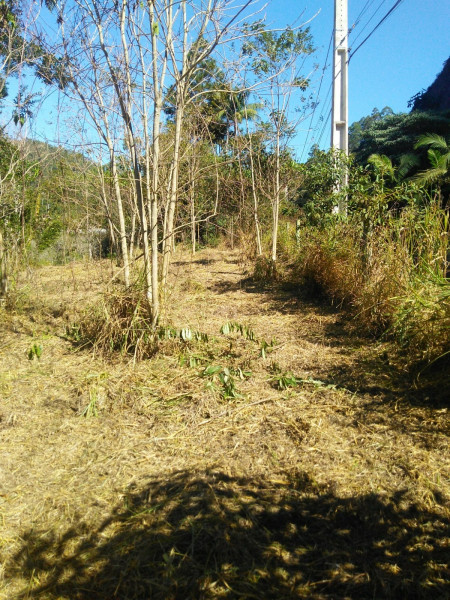 Sítio à venda Cordoeira com 15000m² e 5 quartos por R$ 650.000 - 2056162039-img-20220624-wa0041.jpg