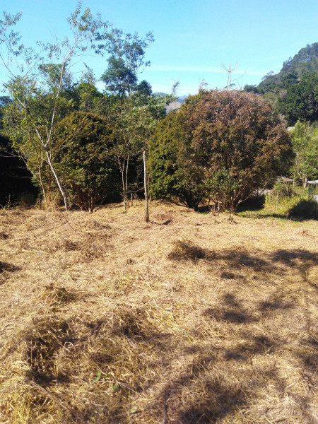 Sítio à venda Cordoeira com 15000m² e 5 quartos por R$ 650.000 - 2138069779-img-20220624-wa0034.jpg
