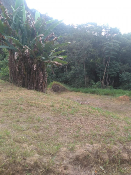 Sítio à venda Cordoeira com 15000m² e 5 quartos por R$ 650.000 - 263615315-img-20211205-wa0140.jpg