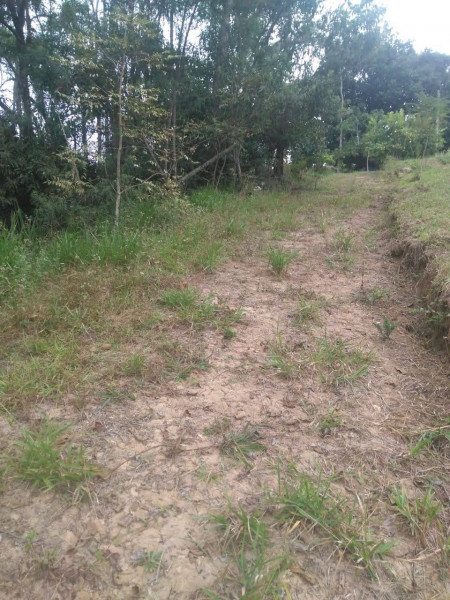 Sítio à venda Cordoeira com 15000m² e 5 quartos por R$ 650.000 - 284956943-img-20211205-wa0137.jpg