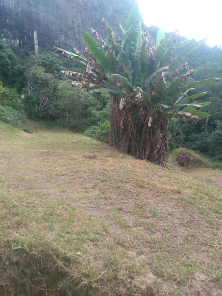 Sítio à venda Cordoeira com 15000m² e 5 quartos por R$ 650.000 - 394116110-img-20211205-wa0146.jpg