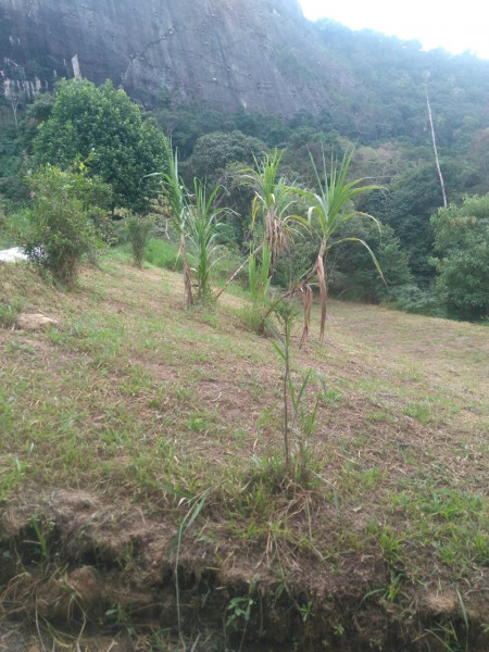 Sítio à venda Cordoeira com 15000m² e 5 quartos por R$ 650.000 - 453161816-img-20211205-wa0144.jpg