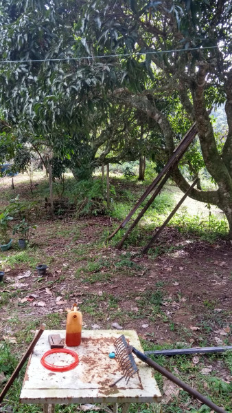 Sítio à venda Cordoeira com 15000m² e 5 quartos por R$ 650.000 - 738103219-img-20220817-wa0066.jpg
