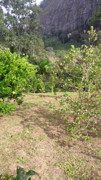 Sítio à venda Cordoeira com 15000m² e 5 quartos por R$ 650.000 - 780410724-img-20220817-wa0050.jpg
