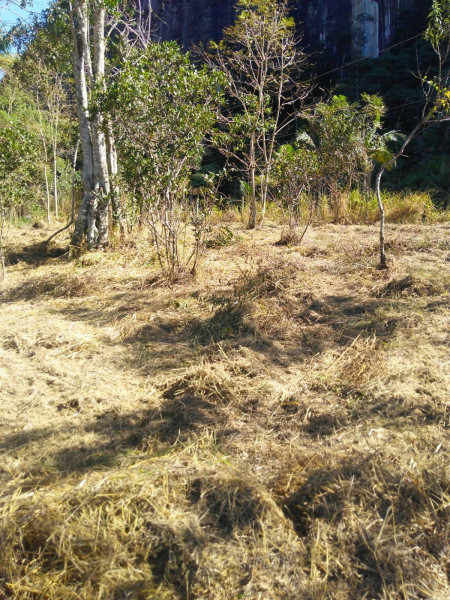 Sítio à venda Cordoeira com 15000m² e 5 quartos por R$ 650.000 - 869116026-img-20220624-wa0043.jpg