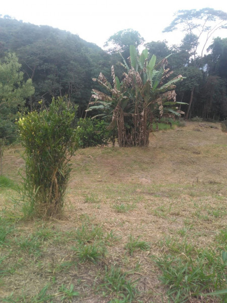 Sítio à venda Cordoeira com 15000m² e 5 quartos por R$ 650.000 - 916342727-img-20211205-wa0135.jpg