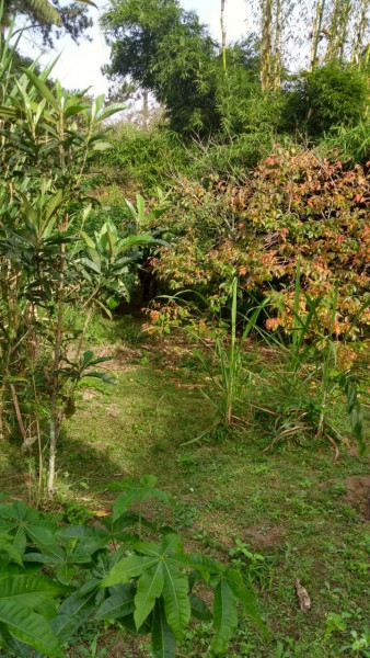 Sítio à venda Cordoeira com 15000m² e 5 quartos por R$ 650.000 - 965812160-img-20220817-wa0027.jpg
