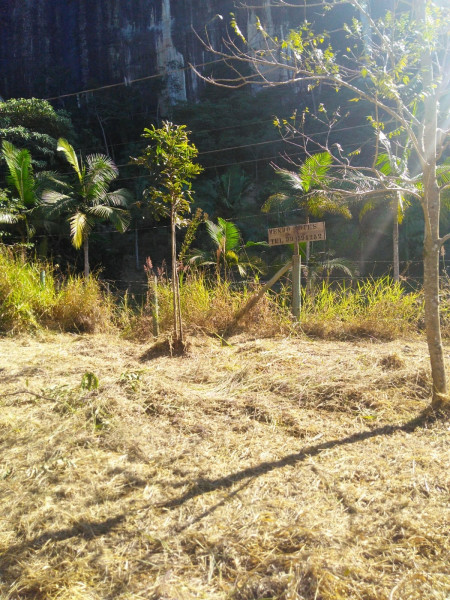 Sítio à venda Cordoeira com 15000m² e 5 quartos por R$ 650.000 - 971702286-img-20220624-wa0036.jpg