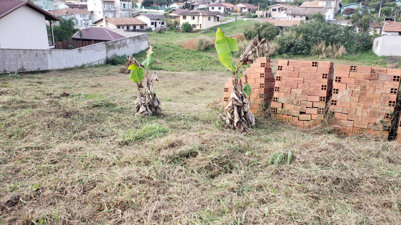 Terreno à venda Alto das Palmeiras com 1800m² e 1 quarto por R$ 700.000 - 629764064-inbound7718698208602358529.jpg