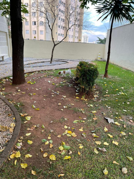 Apartamento à venda Vila Santa Catarina com 86m² e 3 quartos por R$ 705.000 - 258372829-whatsapp-image-2022-10-03-at-16.jpeg