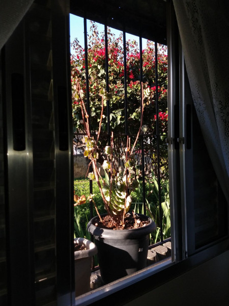 Apartamento à venda Conjunto Habitacional Presidente Castelo Branco com 52m² e 2 quartos por R$ 180.000 - 2044017829-f3ec1fd4-42a5-4368-a3e6-c2956b6acaac.jpg