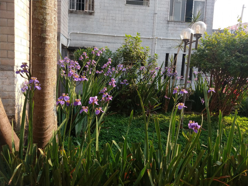 Apartamento à venda Conjunto Habitacional Presidente Castelo Branco com 52m² e 2 quartos por R$ 180.000 - 339078140-f7f107b2-0b62-42f6-8278-bacf060b637a.jpg