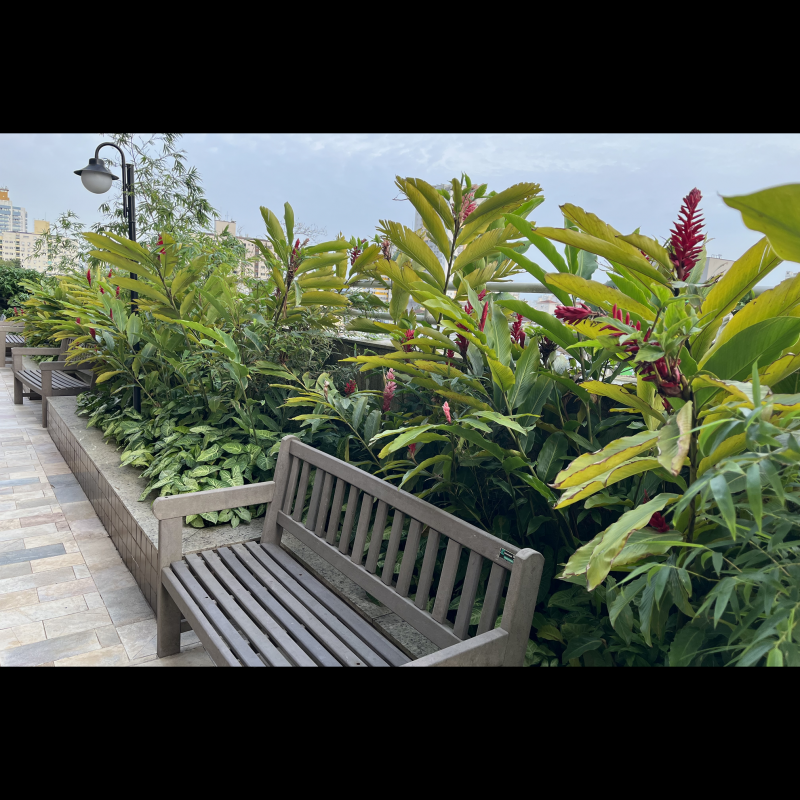 Apartamento à venda Encruzilhada com 111m² e 3 quartos por R$ 1.060.000 - 1352617016-1-ok.png