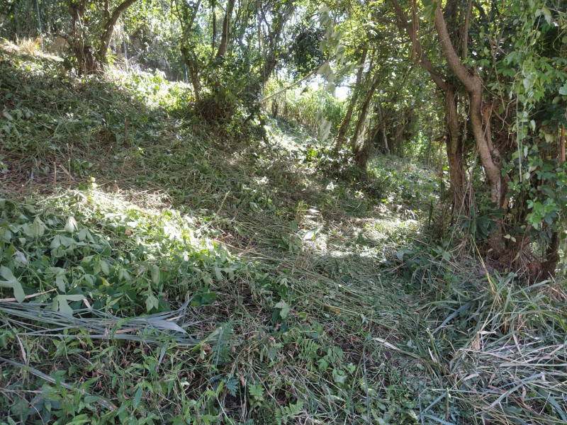 Terreno à venda Piratininga com 720m² e 1 quarto por R$ 600.000 - 1380967478-img-20231022-wa0011.jpg