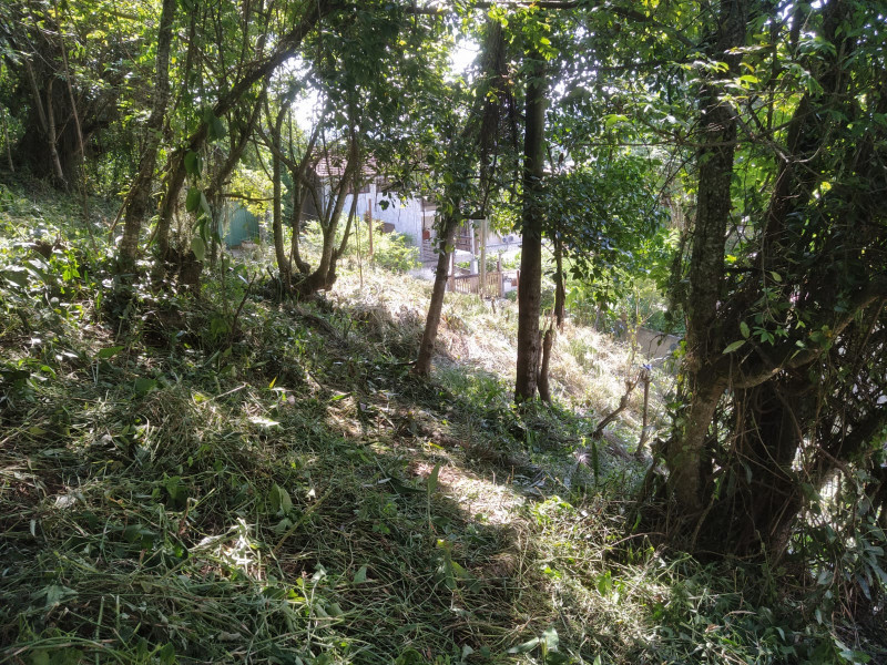 Terreno à venda Piratininga com 720m² e 1 quarto por R$ 600.000 - 386706482-img-20231022-wa0013.jpg