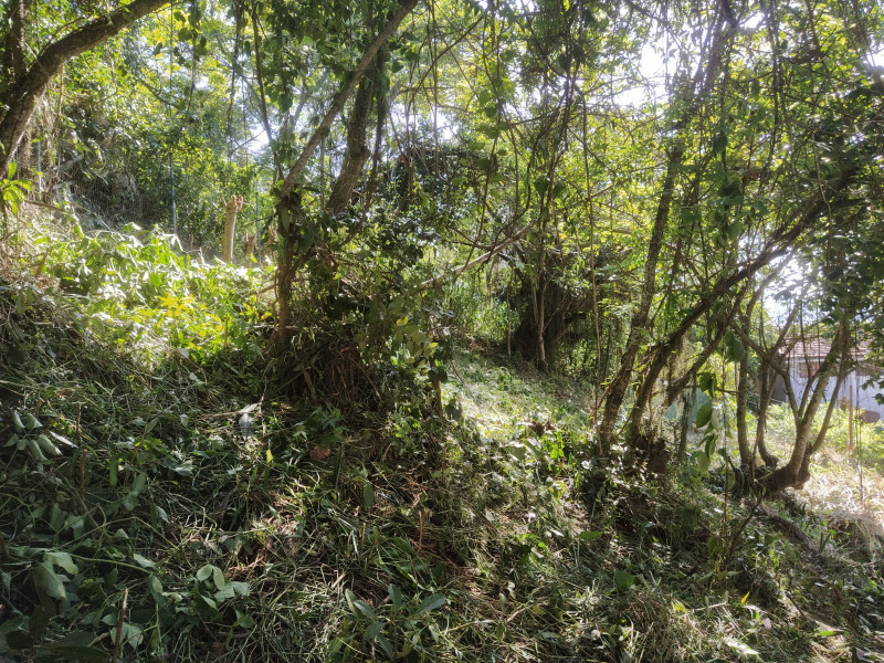 Terreno à venda Piratininga com 720m² e 1 quarto por R$ 600.000 - 438231685-img-20231022-wa0004.jpg