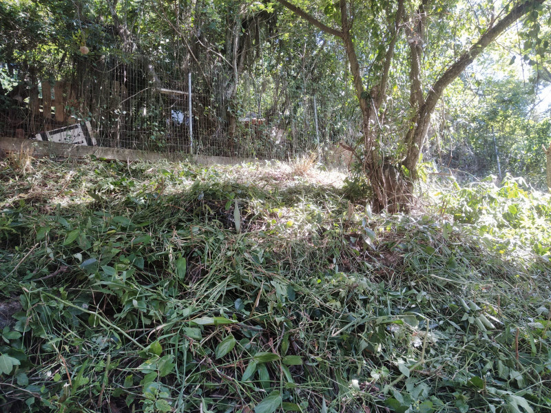 Terreno à venda Piratininga com 720m² e 1 quarto por R$ 600.000 - 981275767-img-20231022-wa0014.jpg