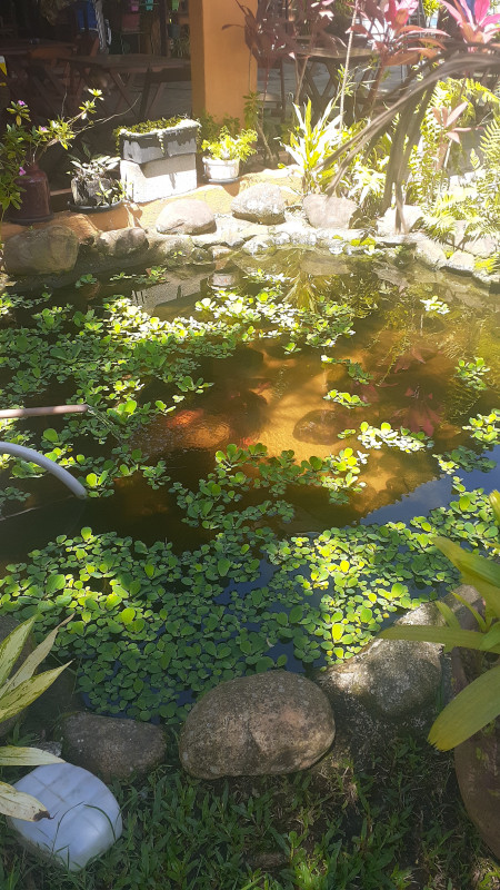 Chácara à venda Balneário Gaivotas com 2400m² e 10 quartos por R$ 700.000 - 1062201242-img-20220917-wa0076.jpeg