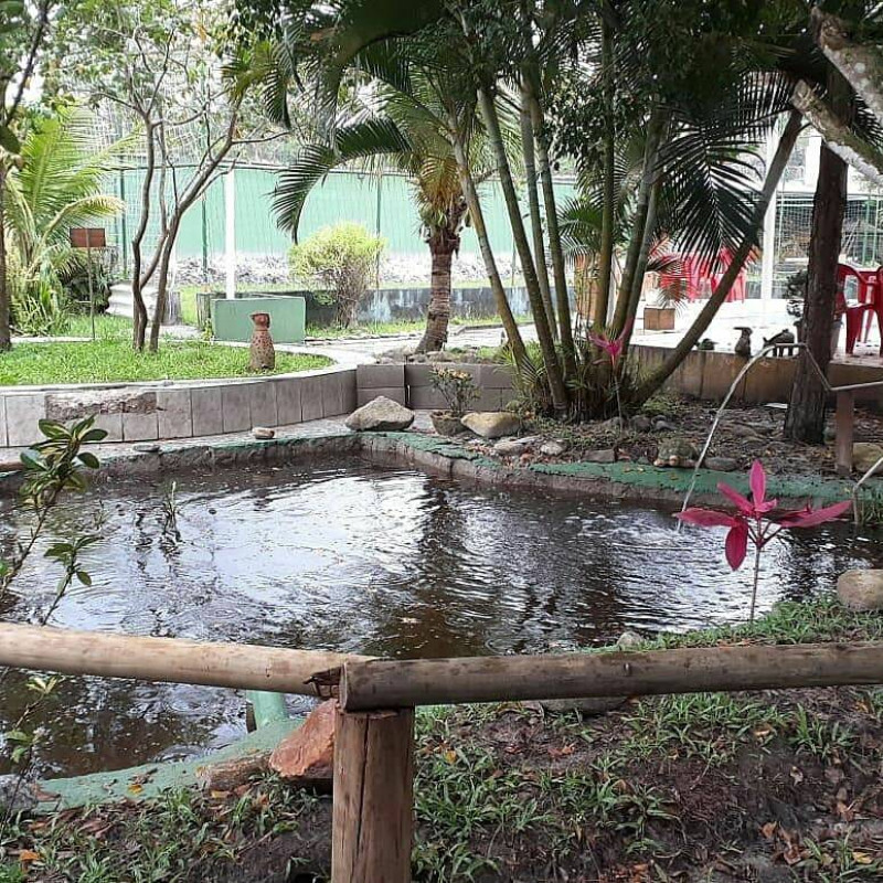 Chácara à venda Balneário Gaivotas com 2400m² e 10 quartos por R$ 700.000 - 505131828-img-20211016-wa0044.jpg