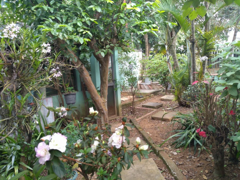 Casa à venda Vila Liviero com 230m² e 4 quartos por R$ 890.000 - 1747768537-073e5f65-1b80-4df1-b4b5-ed2f9ce760a4.jpg