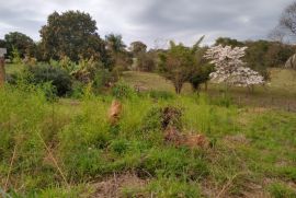Terreno à venda Jardim Buru com 1146m² - 1 dormitório -  vagas - R$ 195.000 - 400625452-img-20220820-wa0015.jpg