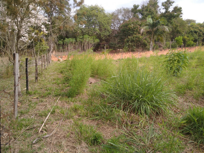 Terreno à venda Jardim Buru com 1146m² e 1 quarto por R$ 195.000 - 1409871089-img-20220820-wa0053.jpg