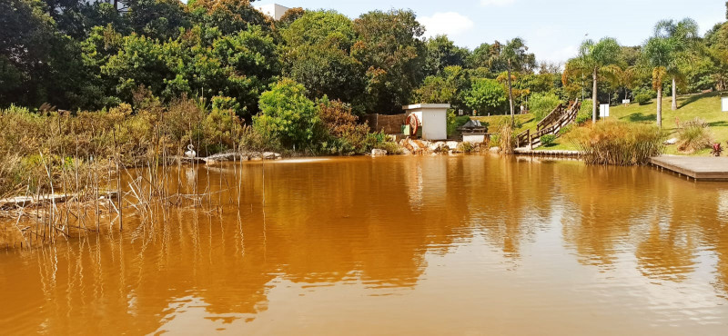 Apartamento à venda Bom Jesus com 40m² e 2 quartos por R$ 185.000 - 1998769776-img-20220315-wa0081.jpg