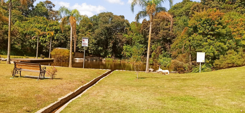 Apartamento à venda Bom Jesus com 40m² e 2 quartos por R$ 185.000 - 809791214-img-20220315-wa0063.jpg