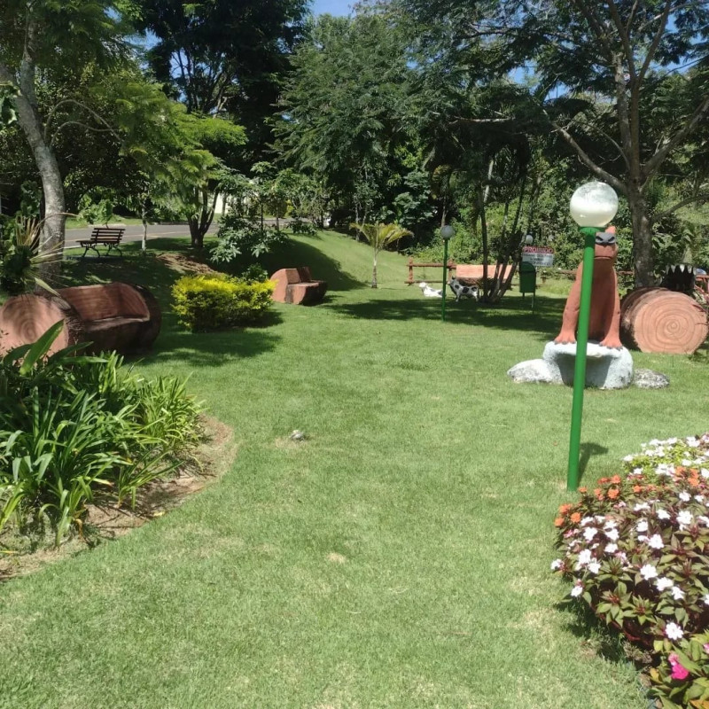 Casa à venda Pimentéis com 208m² e 3 quartos por R$ 630.000 - 2048738807-img-20220709-wa0017.jpg