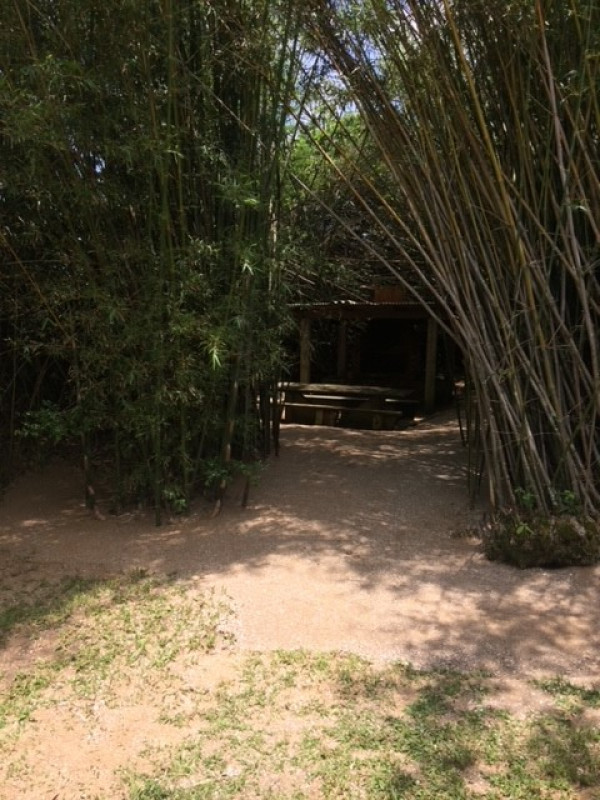 Chácara à venda Ribeirão da Ilha com 6100m² e 3 quartos por R$ 10.990.000 - 126600604-churr.jpg