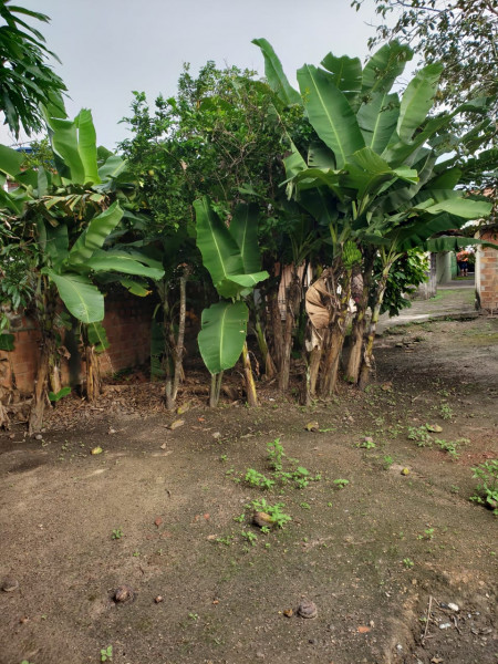 Casa à venda Camaçari de Dentro com 400m² e 3 quartos por R$ 250.000 - 1704526226-whatsapp-image-2021-06-29-at-18.jpeg