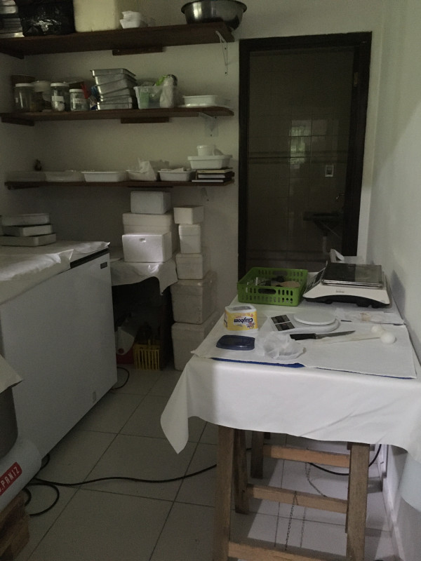 Casa à venda Saguaçu com 1874m² e 3 quartos por R$ 1.600.000 - 2025995359-ef93ac00-0eae-40d1-92ee-3d87617de4c2.jpeg
