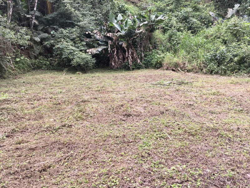 Casa à venda Saguaçu com 1874m² e 3 quartos por R$ 1.600.000 - 592839559-0208b9b5-3931-44e0-9356-8dff9d8039b7.jpeg