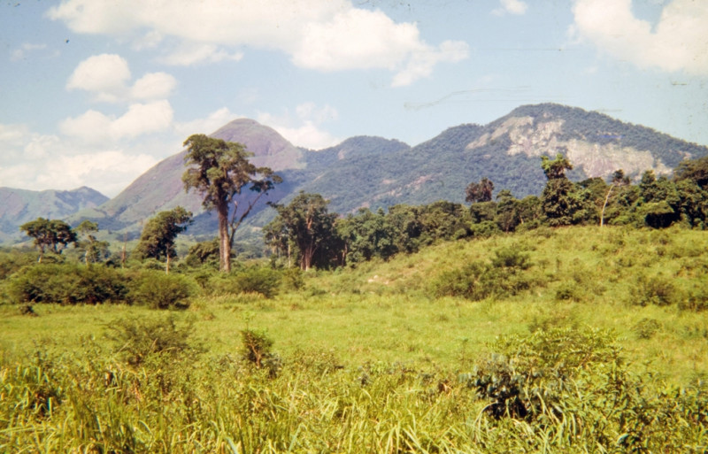 Sítio à venda Ubatiba com 157178m² e 5 quartos por R$ 2.490.000 - 756552002-006.jpg