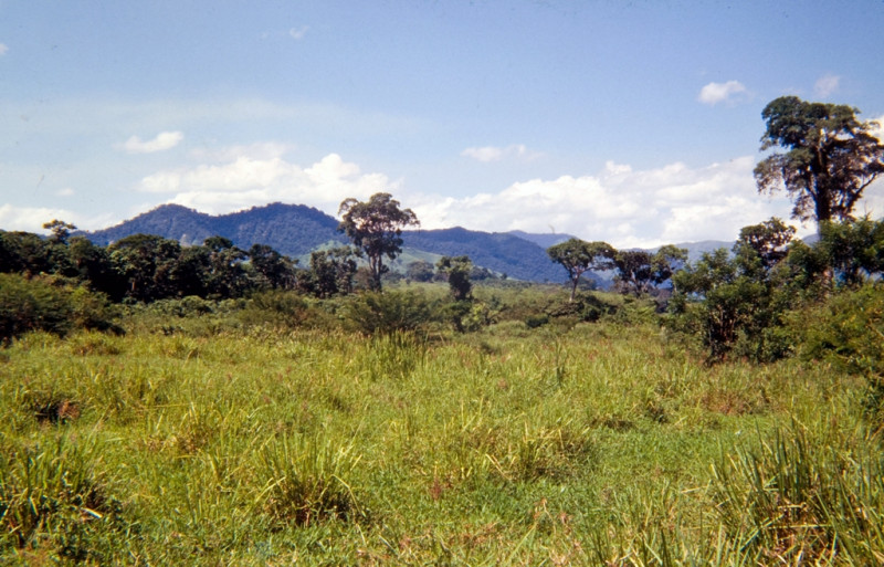 Sítio à venda Ubatiba com 157178m² e 5 quartos por R$ 2.490.000 - 775232061-003.jpg