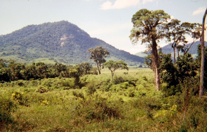 Sítio à venda Ubatiba com 157178m² e 5 quartos por R$ 2.490.000 - 828638275-005.jpg