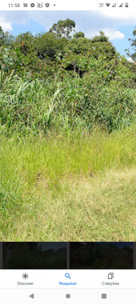 Fazenda à venda Centro com 2800m² e 5 quartos por R$ 30.000 - 1689989705-screenshot-20221017-115803.png