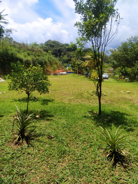 Chácara à venda Loteamento Vale Florido com 2000m² e 2 quartos por R$ 300.000 - 1000691178-img-20220718-wa0027.jpg