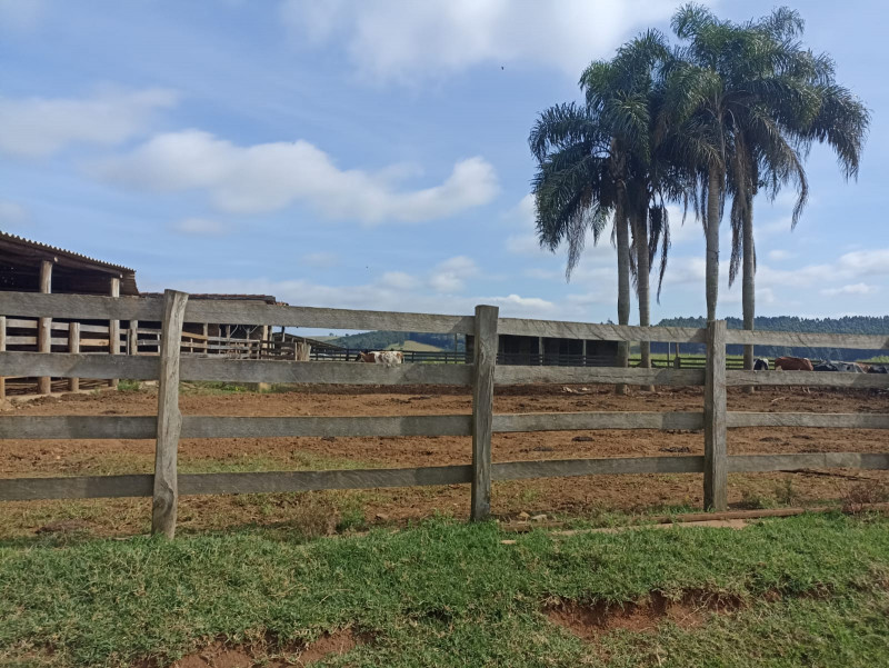 Sítio à venda Centro com 2578000m² e 4 quartos por R$ 2.000.000 - 574090160-whatsapp-image-2022-10-26-at-17.jpeg