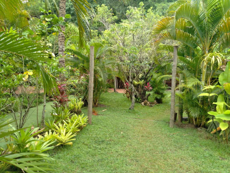 Sítio à venda Barra de Guaratiba com 4000m² e 2 quartos por R$ 850.000 - 360681502-img-20221020-wa0034.jpg