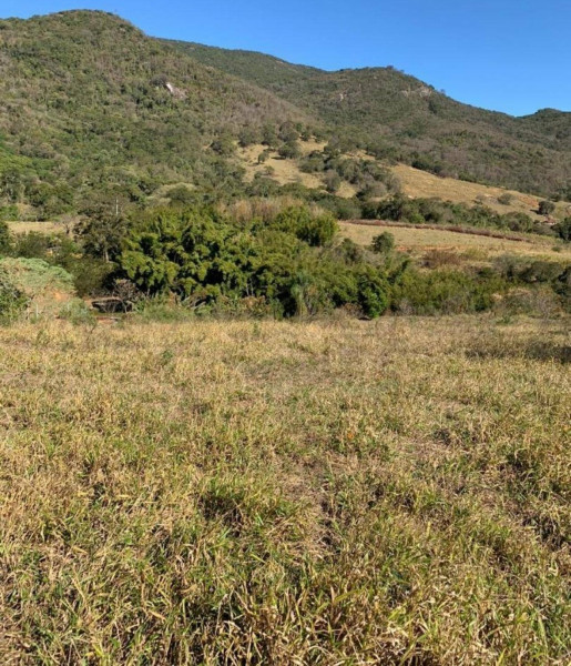 Terreno à venda Centro com 7675m² e 1 quarto por R$ 280.000 - 1458847150-7.jpg