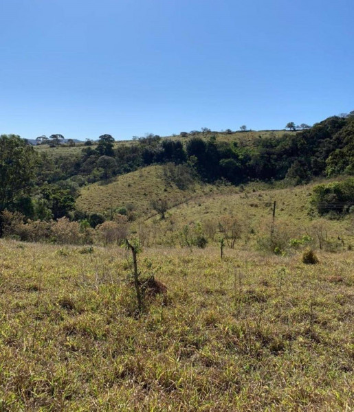 Terreno à venda Centro com 7675m² e 1 quarto por R$ 280.000 - 1588326829-1.jpg