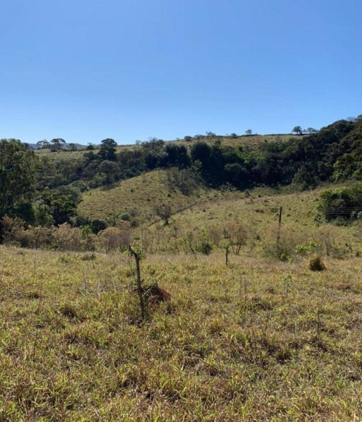 Terreno à venda Centro com 7675m² e 1 quarto por R$ 280.000 - 316567874-10.jpg