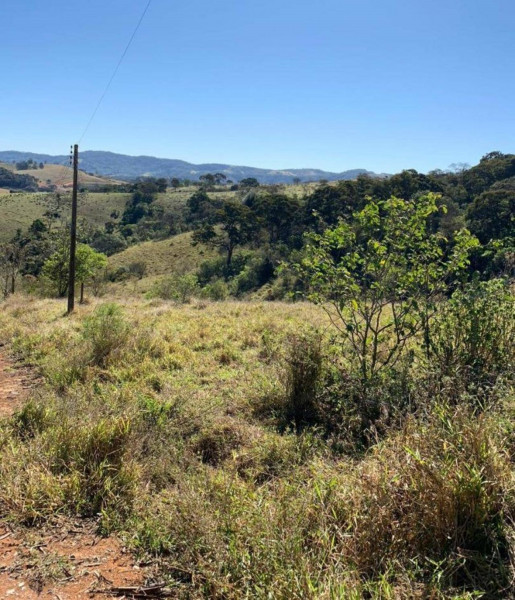 Terreno à venda Centro com 7675m² e 1 quarto por R$ 280.000 - 545697839-4.jpg